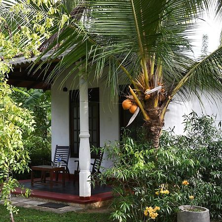 Bay Hill Guest House تانجالي المظهر الخارجي الصورة