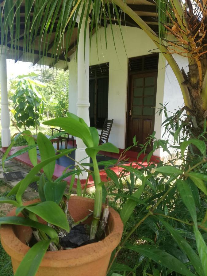 Bay Hill Guest House تانجالي المظهر الخارجي الصورة