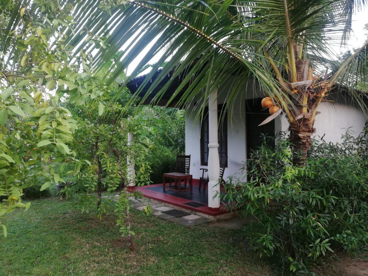 Bay Hill Guest House تانجالي المظهر الخارجي الصورة