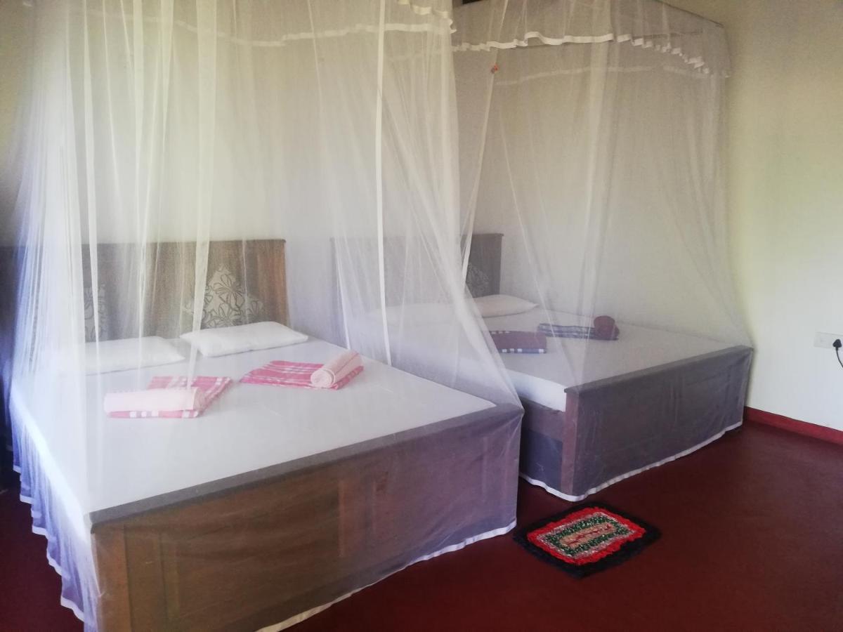 Bay Hill Guest House تانجالي المظهر الخارجي الصورة