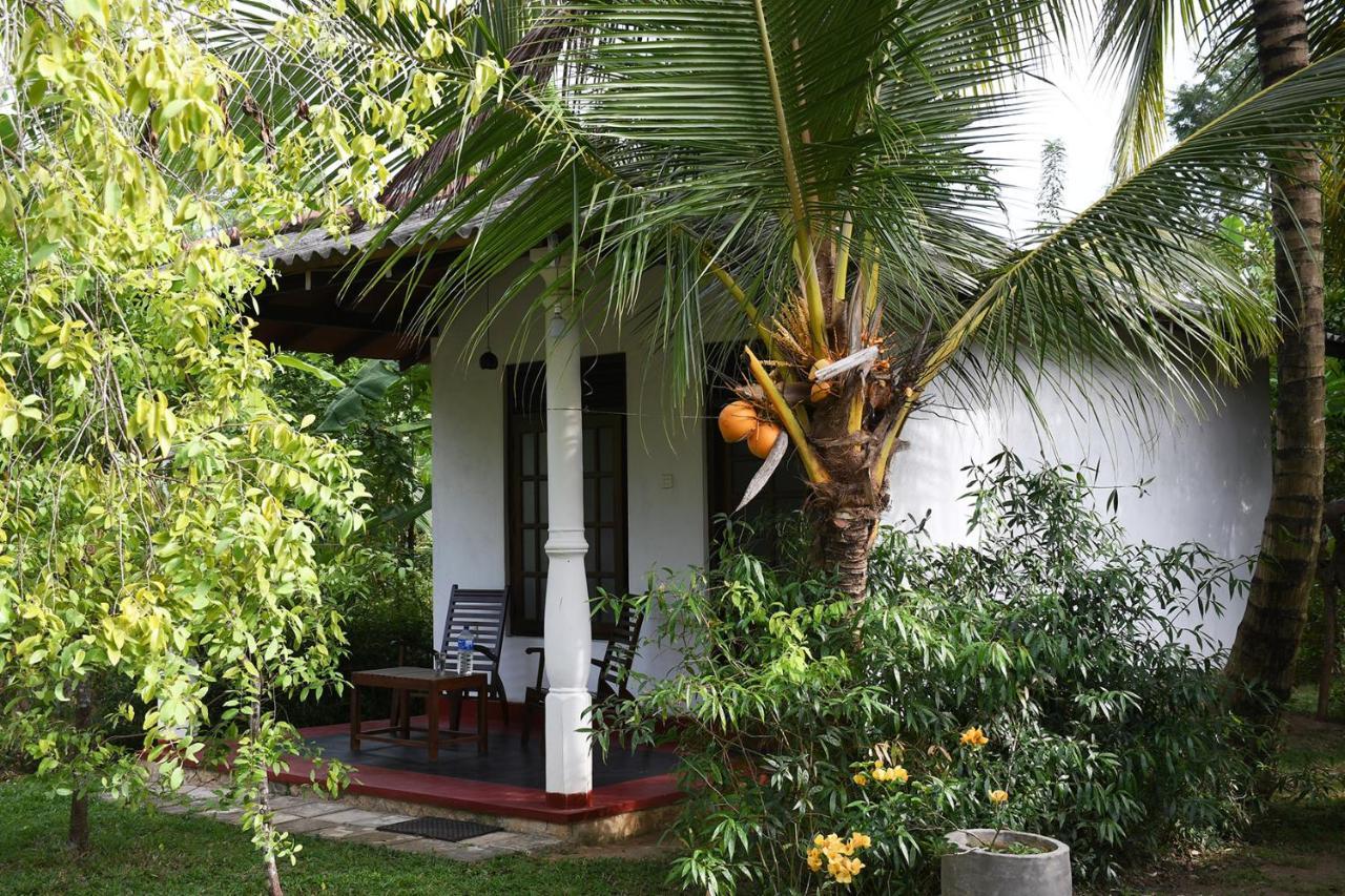 Bay Hill Guest House تانجالي المظهر الخارجي الصورة