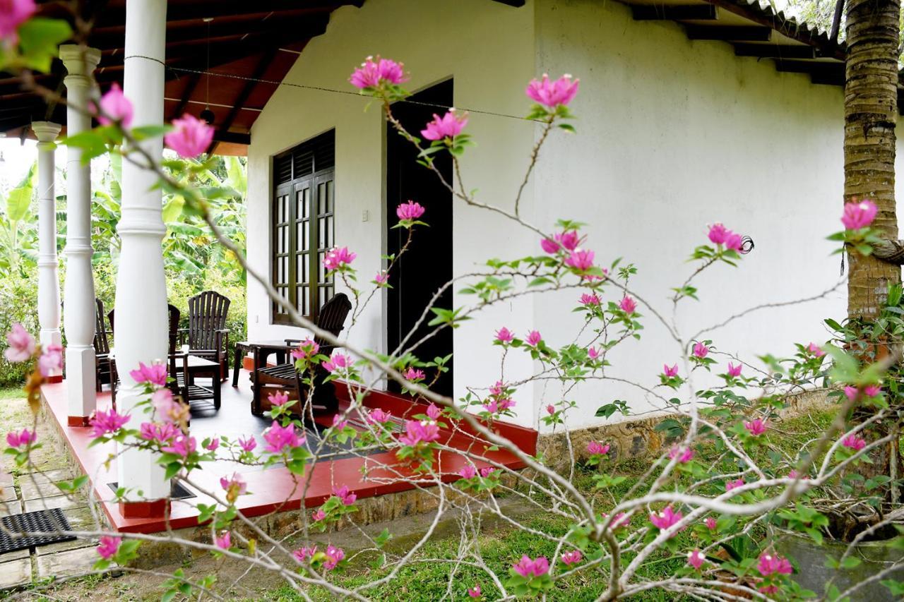 Bay Hill Guest House تانجالي المظهر الخارجي الصورة