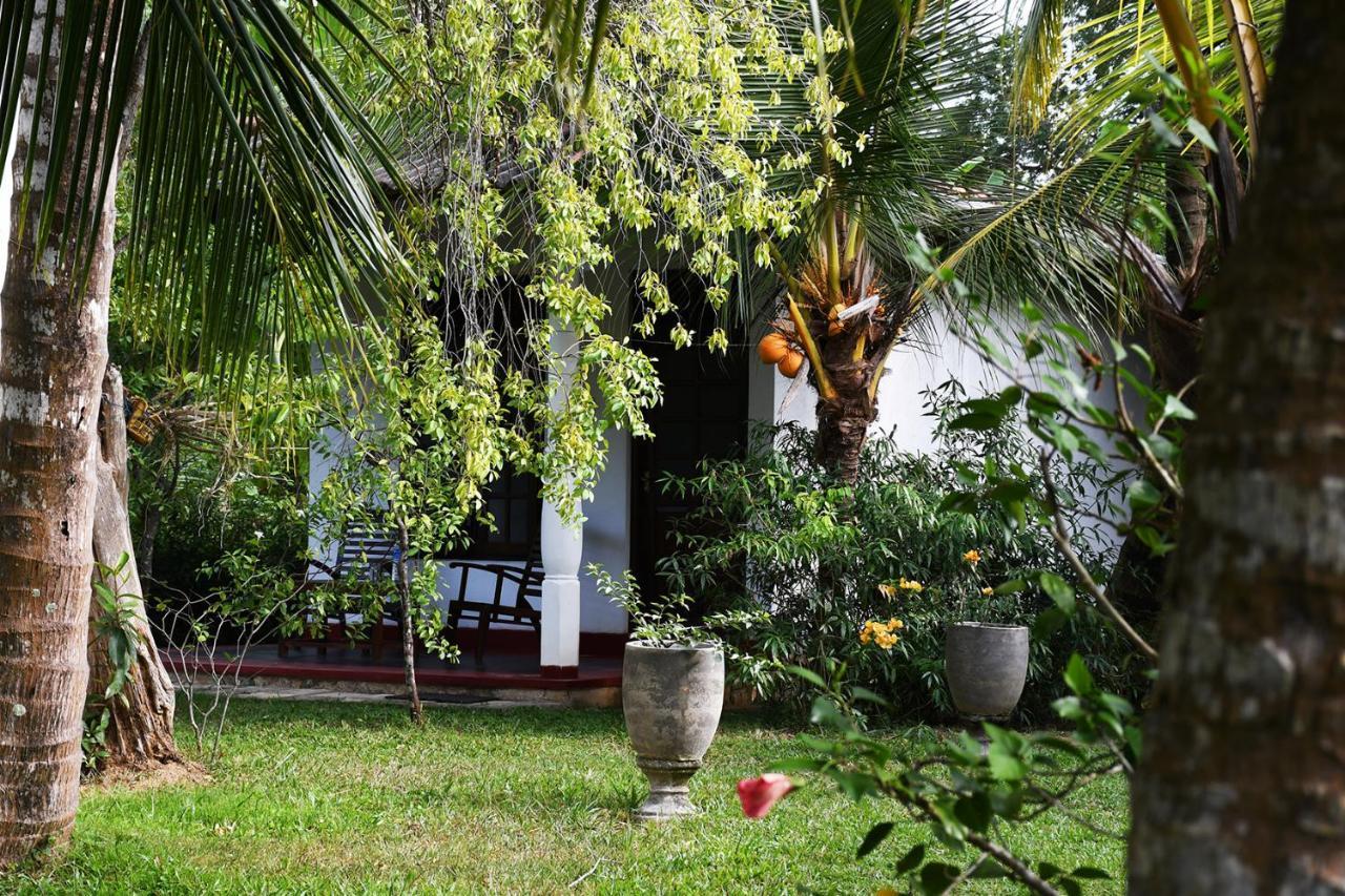 Bay Hill Guest House تانجالي المظهر الخارجي الصورة