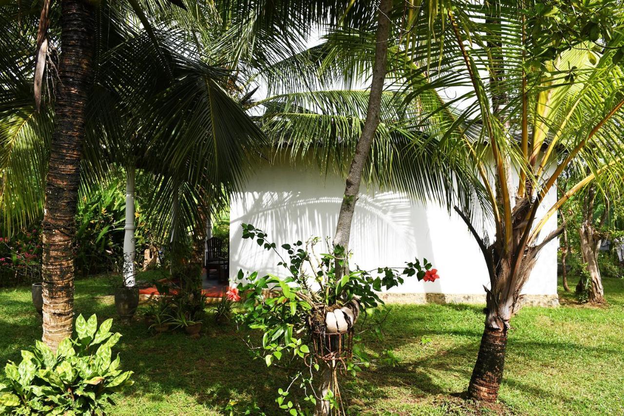 Bay Hill Guest House تانجالي المظهر الخارجي الصورة