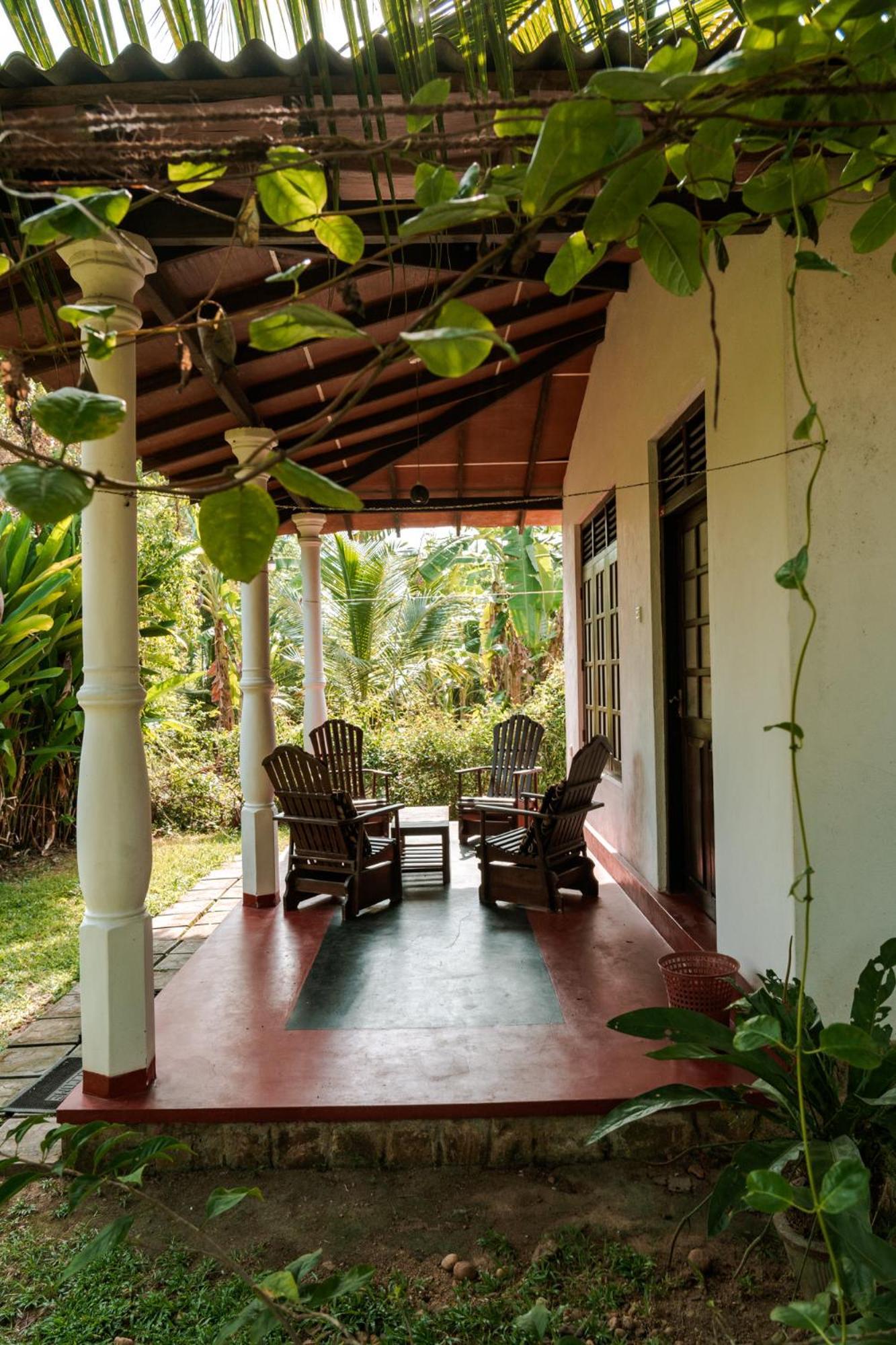 Bay Hill Guest House تانجالي المظهر الخارجي الصورة