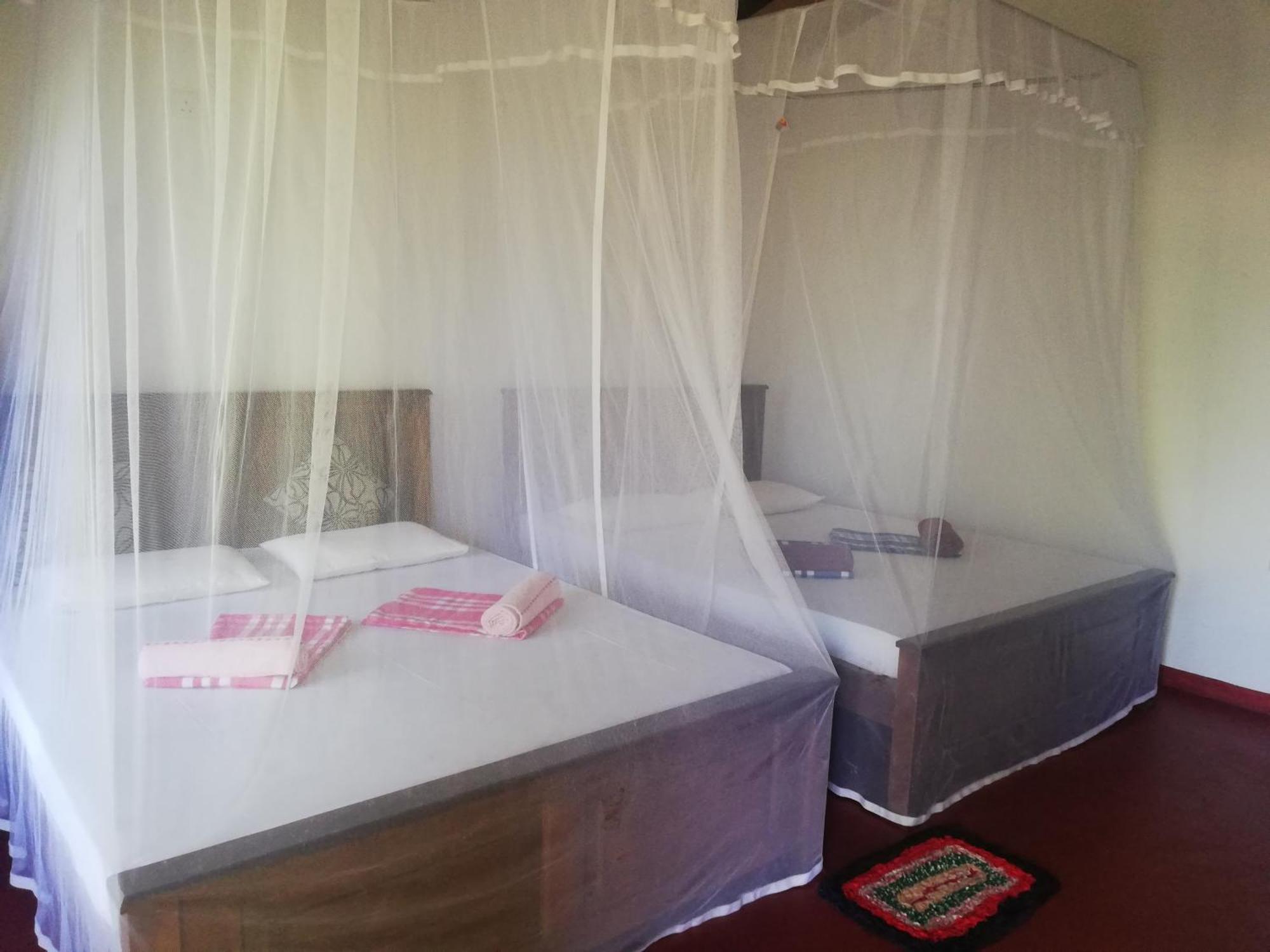 Bay Hill Guest House تانجالي الغرفة الصورة